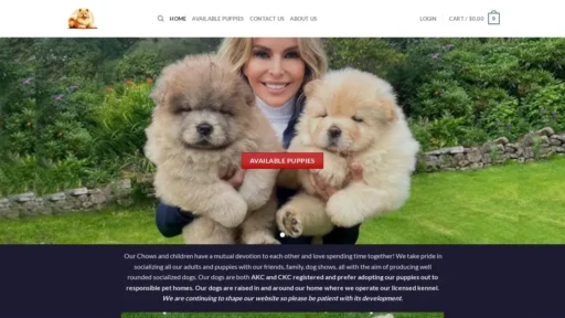 Scam Website Screenshot Jennychowchow.com