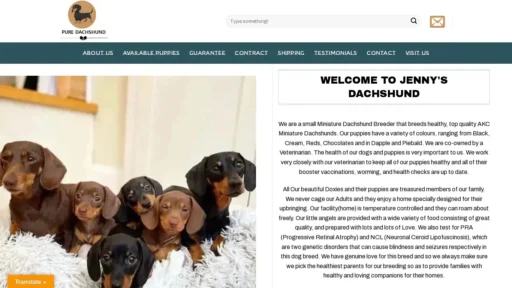 Scam Website Screenshot Jennysdachshund.top