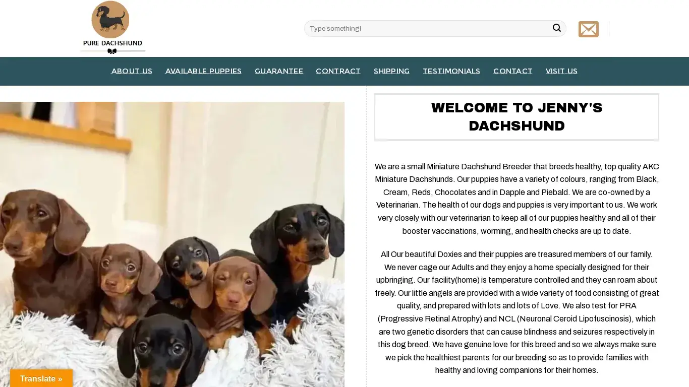 is Puppies for adoption | Puppies for sale | Adopt a puppy legit? screenshot