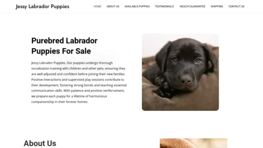 Scam Website Screenshot Jessylabradorpuppies.com