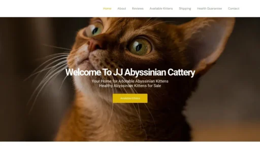 Scam Website Screenshot Jjabyscattery.com