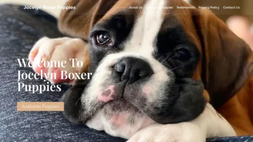 Scam Website Screenshot Jocelynboxerpuppies.com