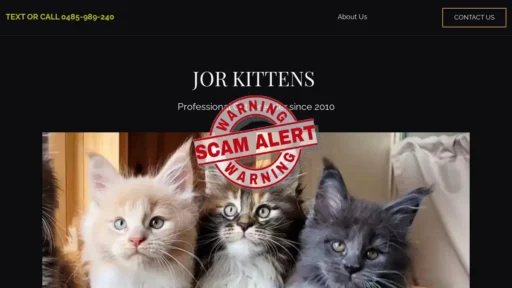Scam Website Screenshot Jorkittens.com