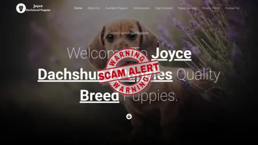 Scam Website Screenshot Joycedachshundpuppies.com