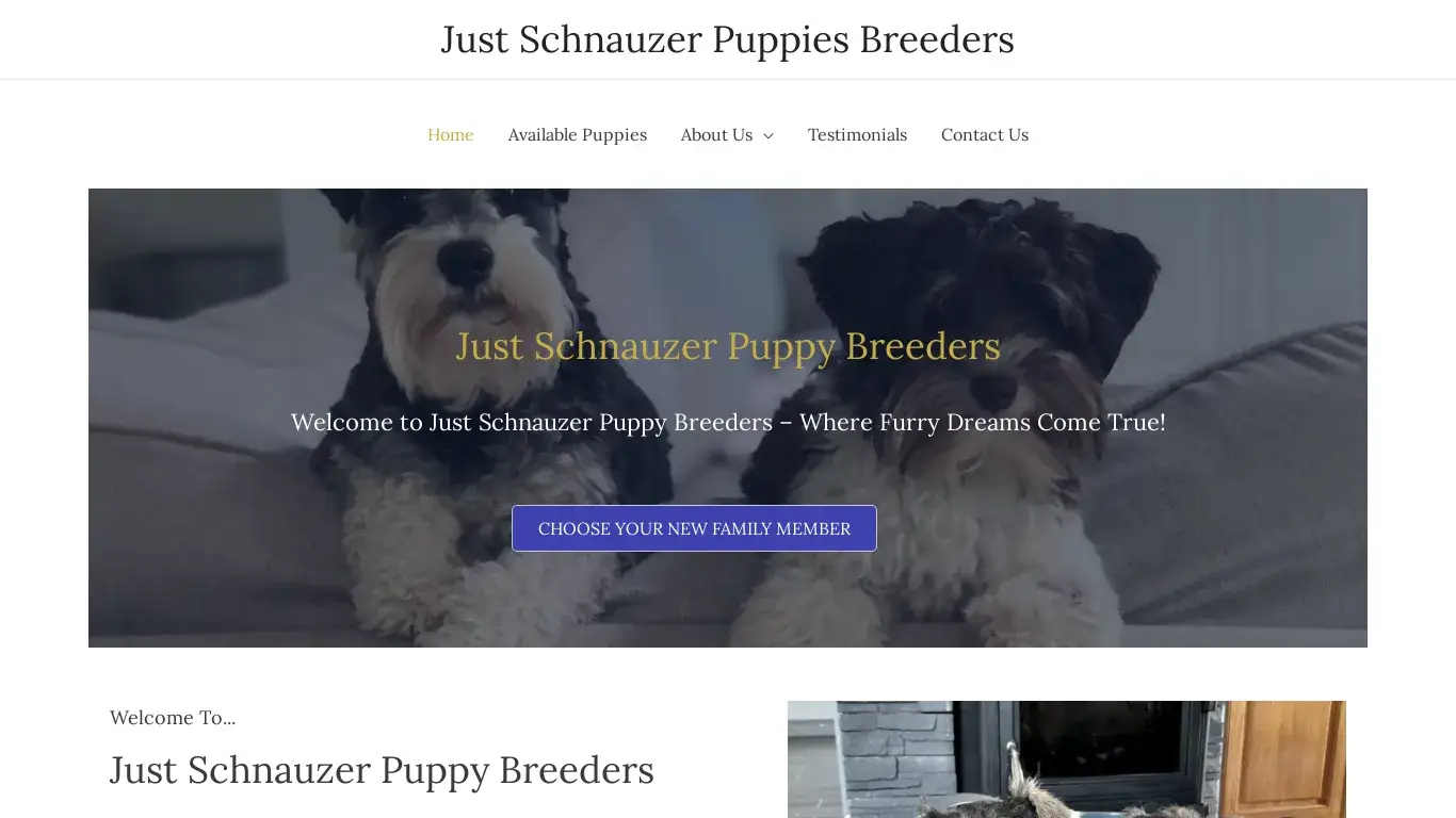 is Just Schnauzer Puppies Breeders – Schnauzer Puppies For Sale legit? screenshot