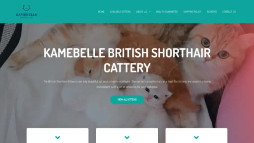 Scam Website Screenshot Kamebellebritishshorthaircattery.com