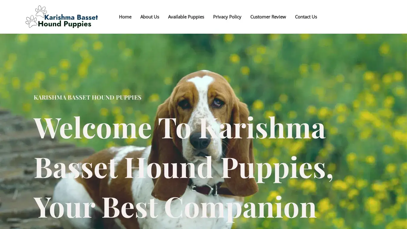 is Karishma Basset Hound Puppies – Quality Basset Hound Puppies legit? screenshot