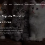 kastlecoons com