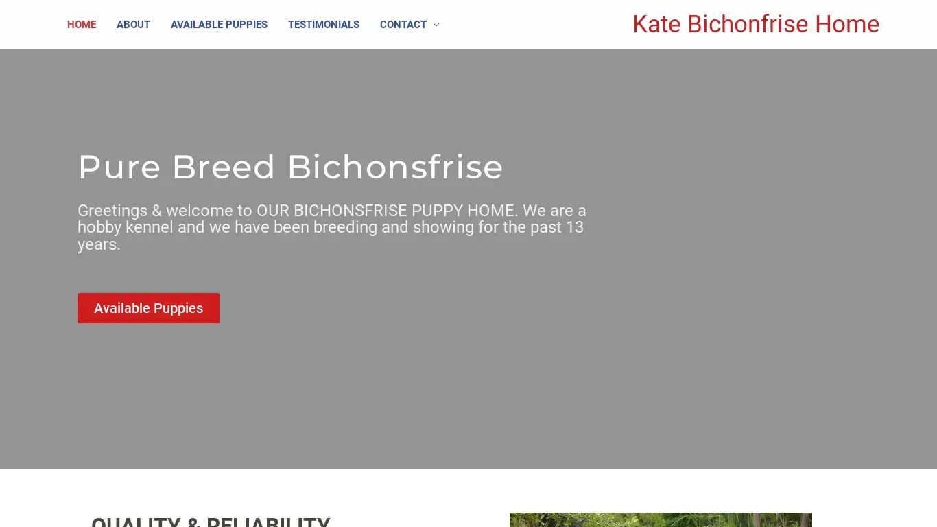 kates bichonfrise home com