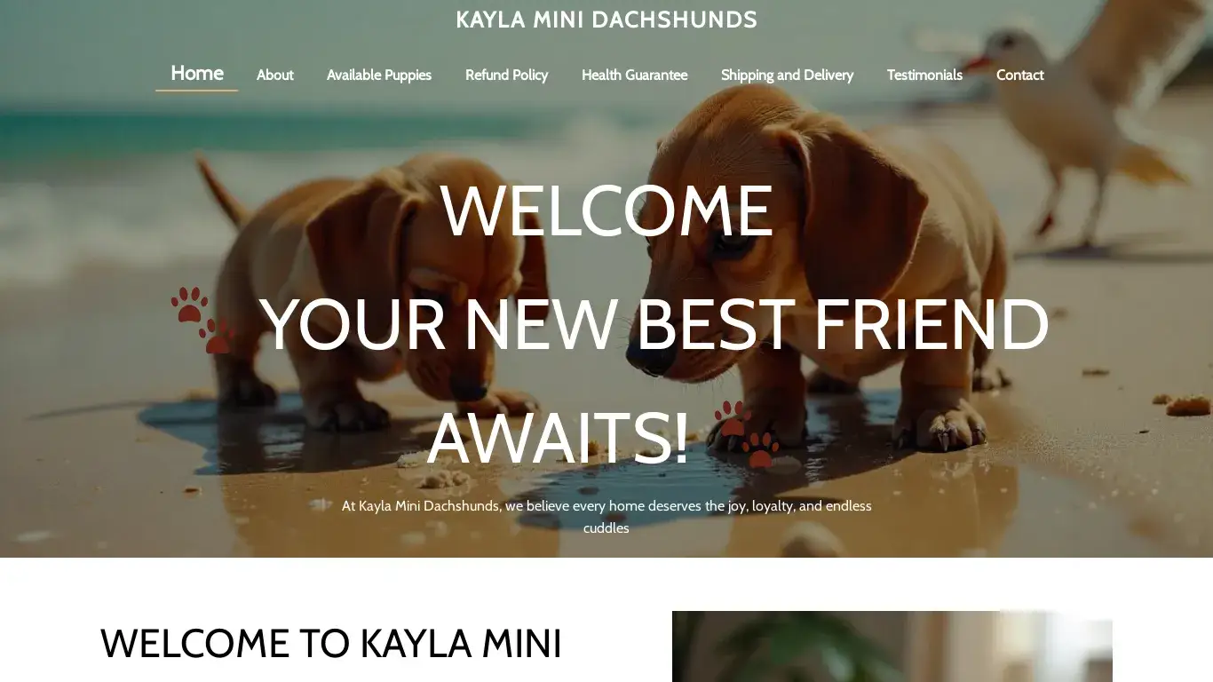 is Kayla Mini Dachshunds legit? screenshot