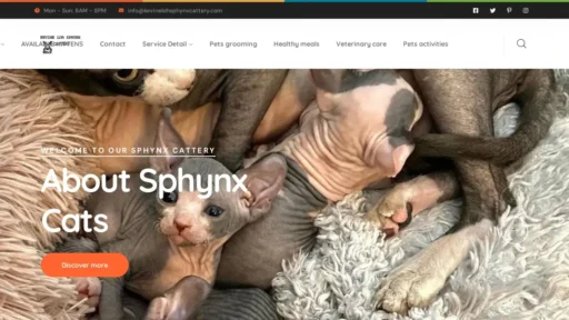 Scam Website Screenshot Kevinelohsphynxcattery.com