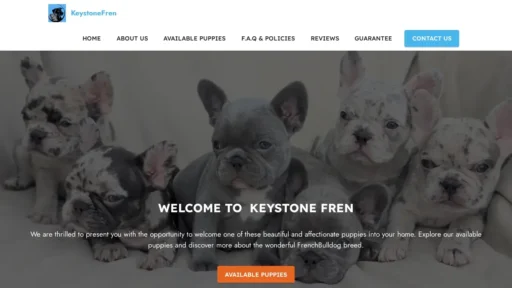 Scam Website Screenshot Keystonefren.com
