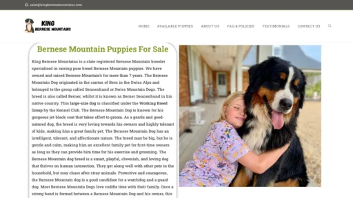 Scam Website Screenshot Kingbernesemountains.com