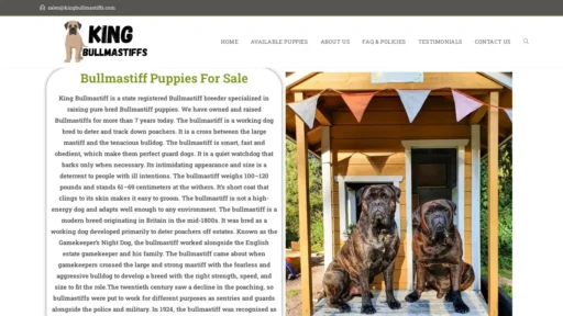 Scam Website Screenshot Kingbullmastiffs.com