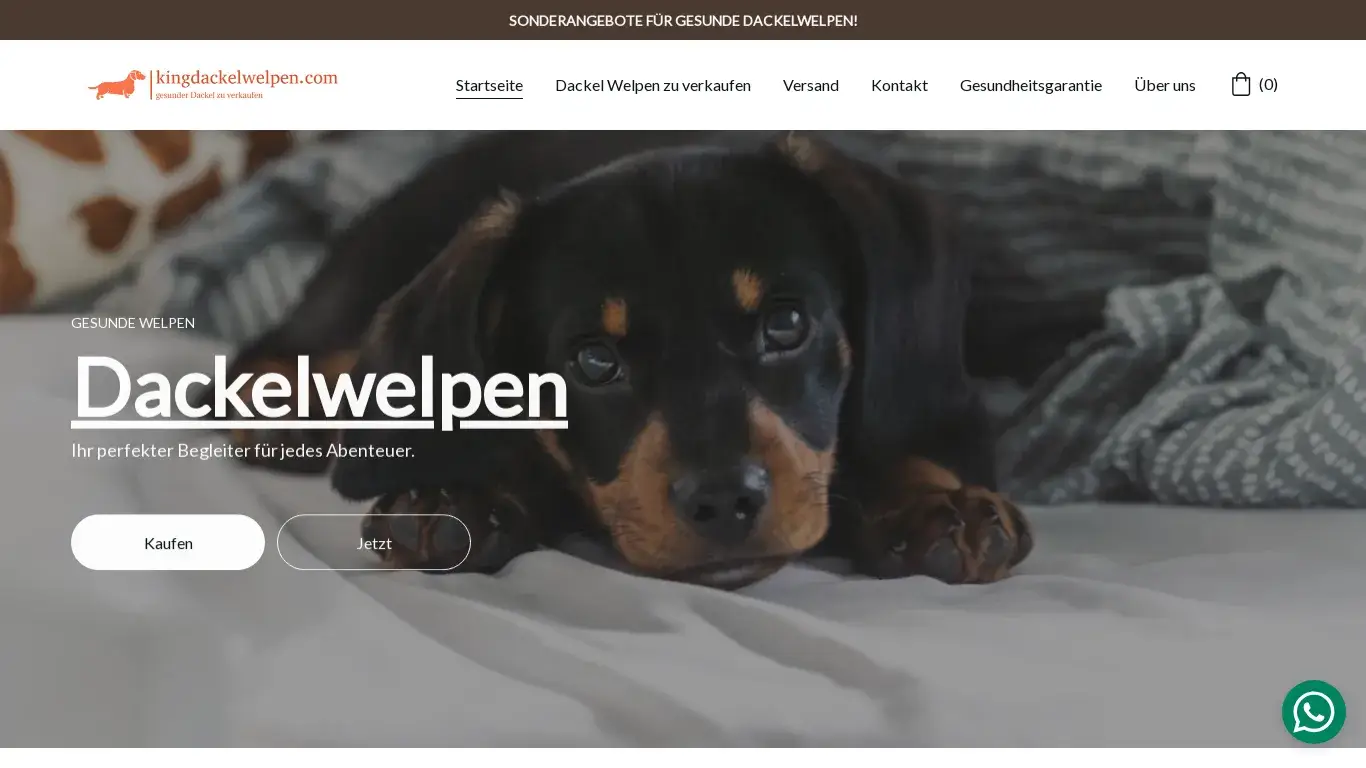 is Dackelwelpen kaufen - King Dackelwelpen Online Store | kingdackelwelpen.com legit? screenshot