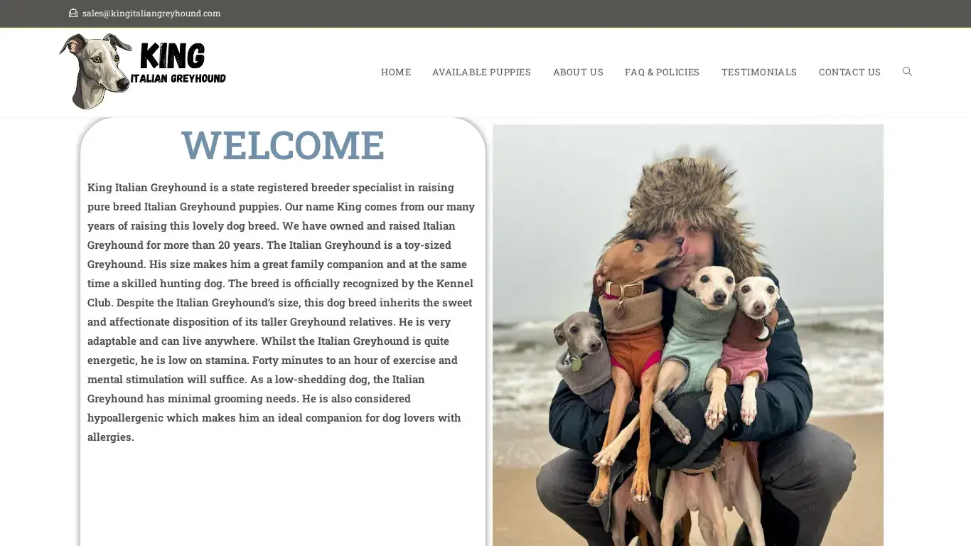 is King Italian greyhound – Licensed Italian greyhound Breeders legit? screenshot