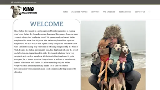 Scam Website Screenshot Kingitaliangreyhound.com
