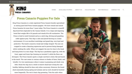 Scam Website Screenshot Kingpresacanarios.com