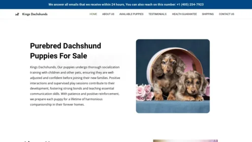 Scam Website Screenshot Kingsdachshunds.info
