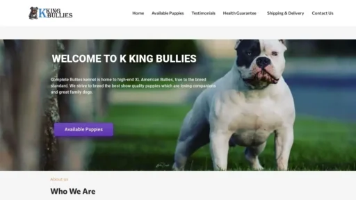 Scam Website Screenshot Kkingbullies.com