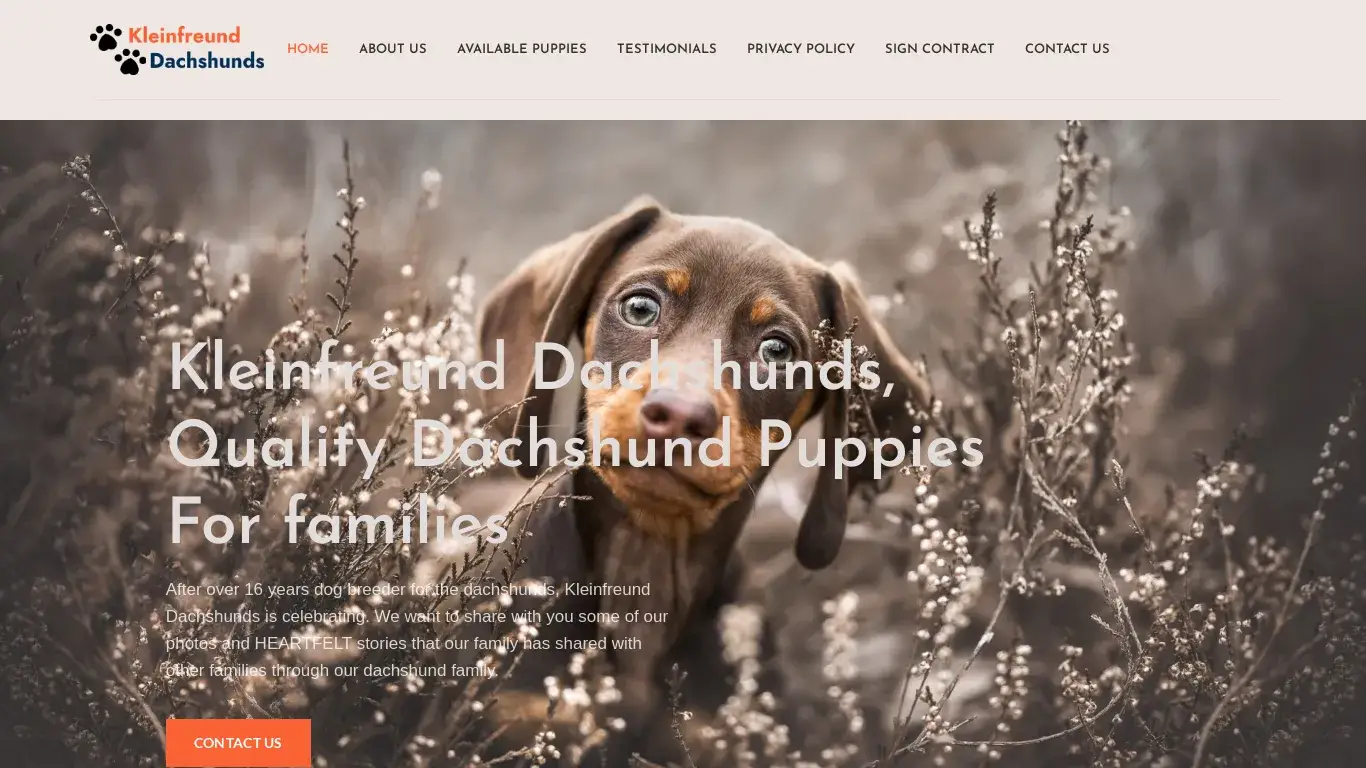 is KLEINFREUND DACHSHUNDS – Quality Dachshund Puppies Home legit? screenshot
