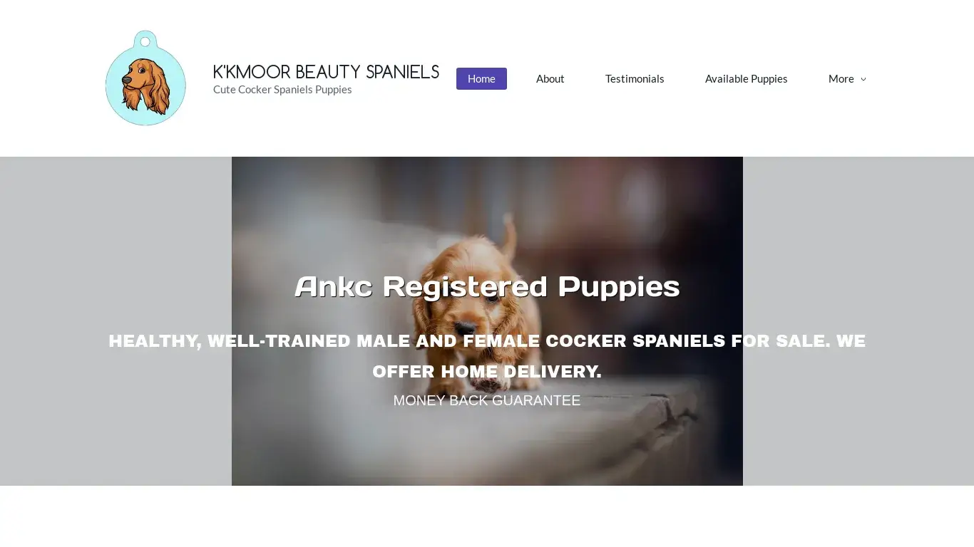 is kmorbeautyspaniel.com legit? screenshot