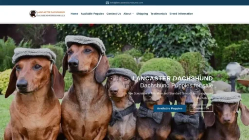 Scam Website Screenshot Lancasterdachshund.com
