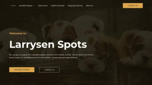 Scam Website Screenshot Larrysenspots.com