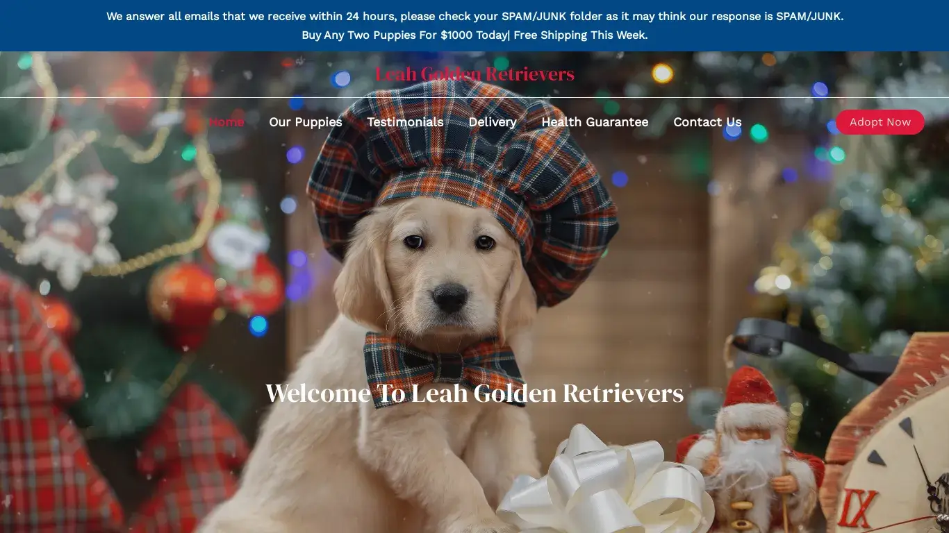 is Leah Golden Retrievers – Purebred Golden Retrievers For Sale legit? screenshot