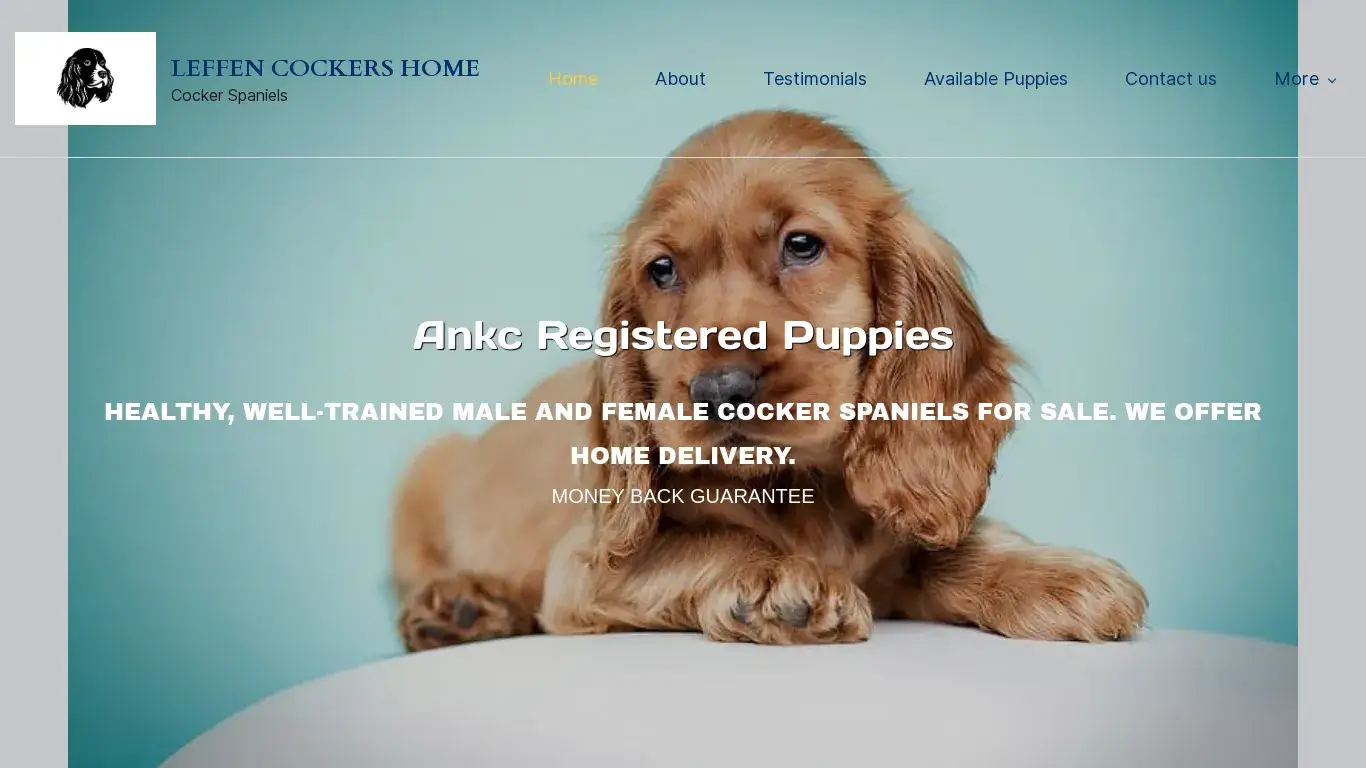 is lefncockerspaniels.com legit? screenshot