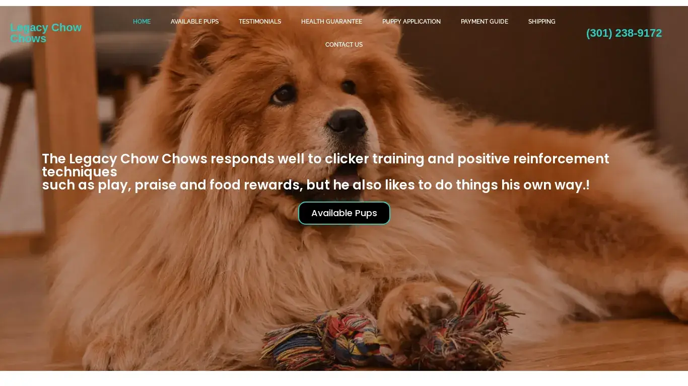is Legacy Chow Chows legit? screenshot
