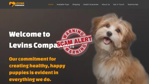Scam Website Screenshot Levinscompanion.com