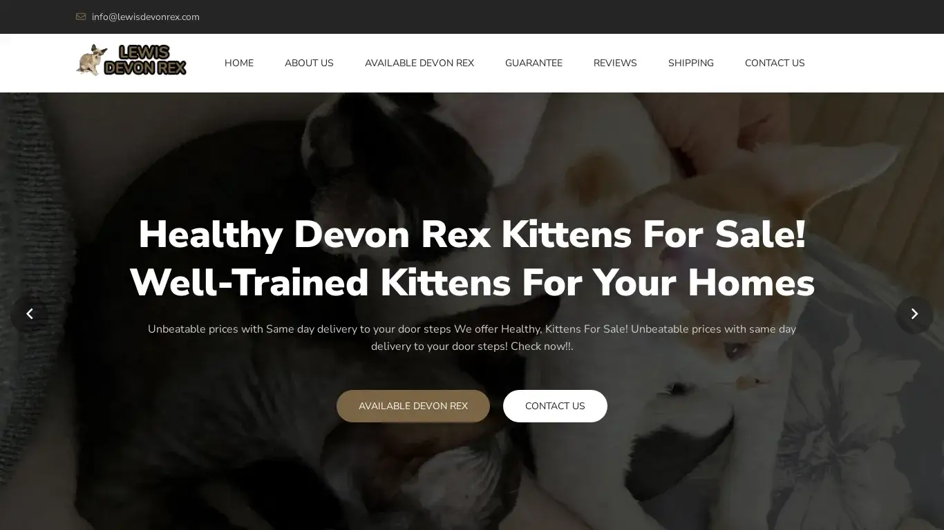 is Devon Rex Kittens for Sale | Cat for Sale | Kitty for Sale, Cat Breed for Sale, Devon Rex Cat Price- Lewis Devon Rex legit? screenshot