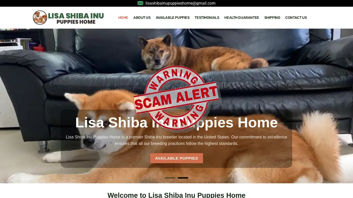 is Lisa Shiba Inu Puppies Home – Shiba Inu puppies for sale legit? screenshot