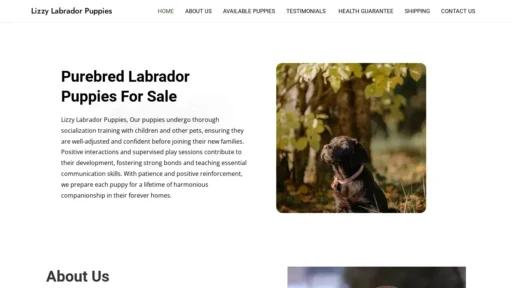 Scam Website Screenshot Lizzylabradorpuppies.com