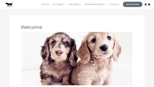 Scam Website Screenshot Longhaireddaschundspuppies.com