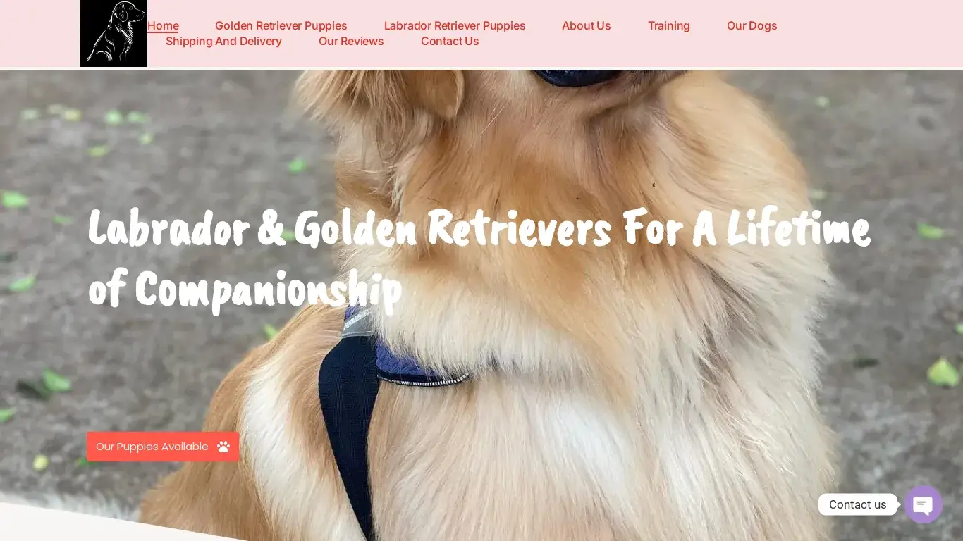is Love In Minutes Retriever Home – Retriever Puppies For Sale legit? screenshot