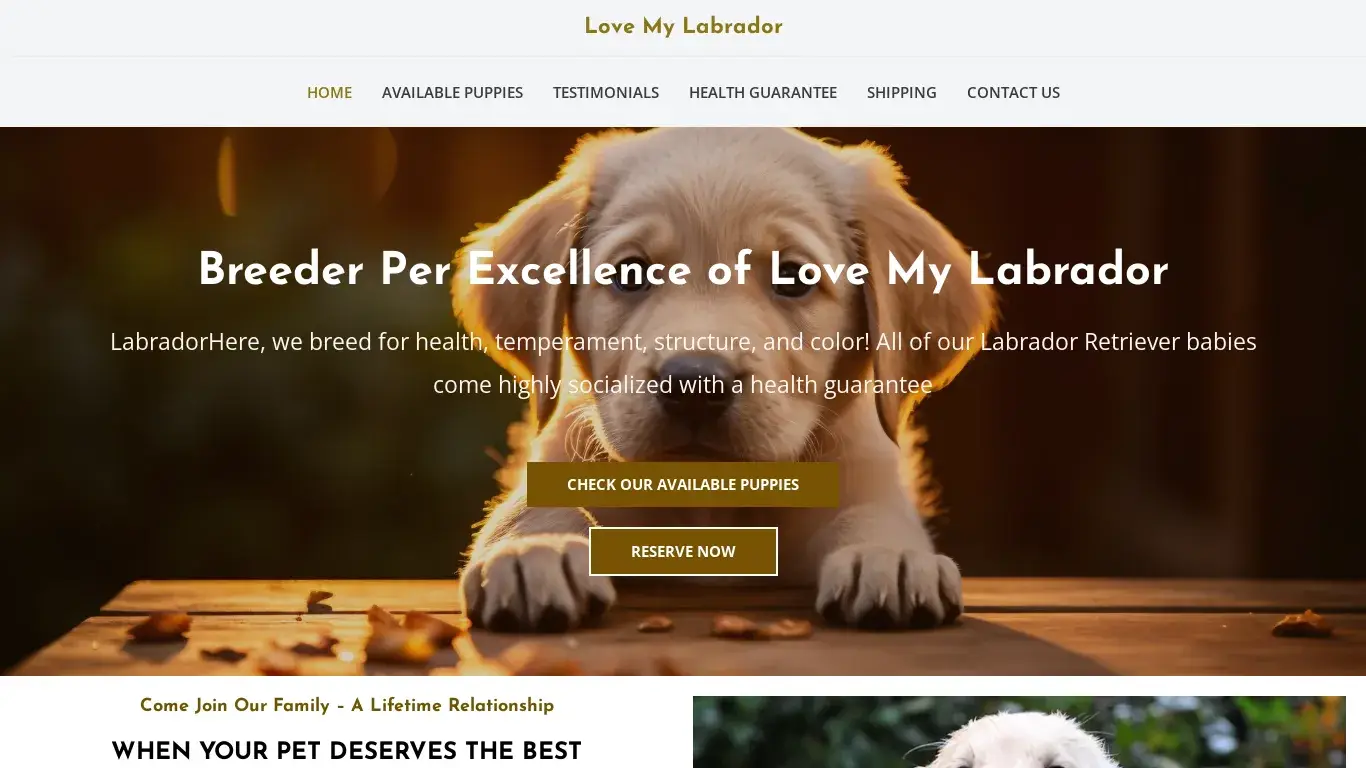is Love My Labrador – Labrador Retrievers For Sale legit? screenshot