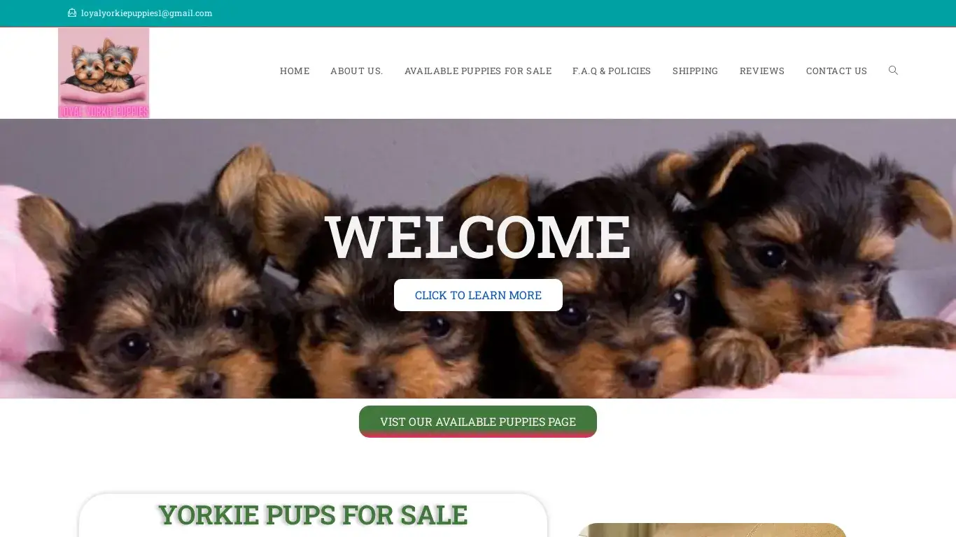 is Loyal Yorkie Puppies – Reputable Registered Breeder legit? screenshot