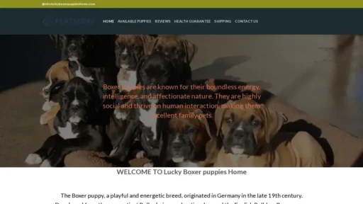 Scam Website Screenshot Luckyboxerpuppieshome.com