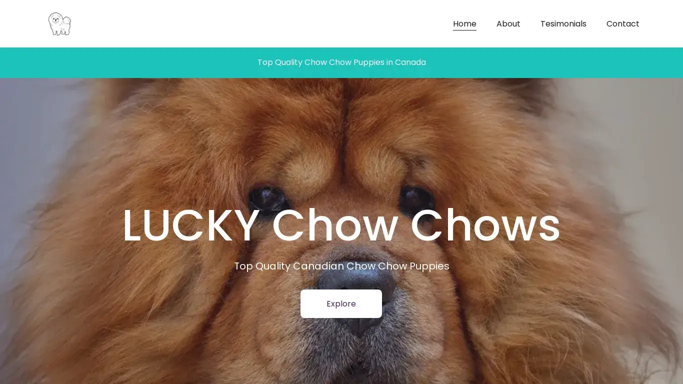 is Top Quality Chow Chow Puppies in Canada | THE LUCKY CHOWS CANADA legit? screenshot