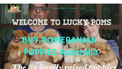 Scam Website Screenshot Luckypoms.com