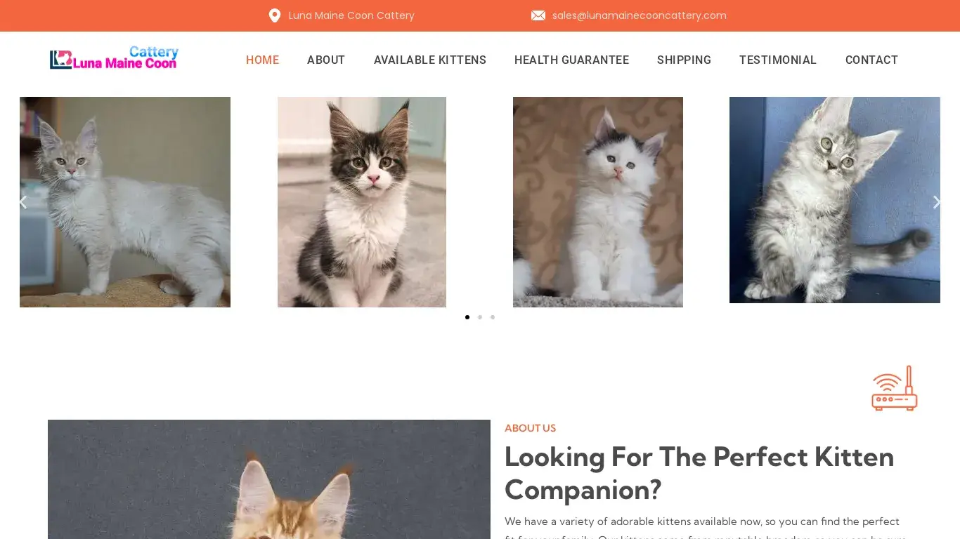 is Luna Maine Coon Cattery – Luna Maine Coon Cattery legit? screenshot
