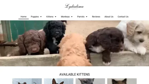 Scam Website Screenshot Lydialima.com