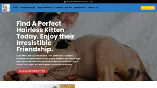 Scam Website Screenshot Magnificientcattery.com
