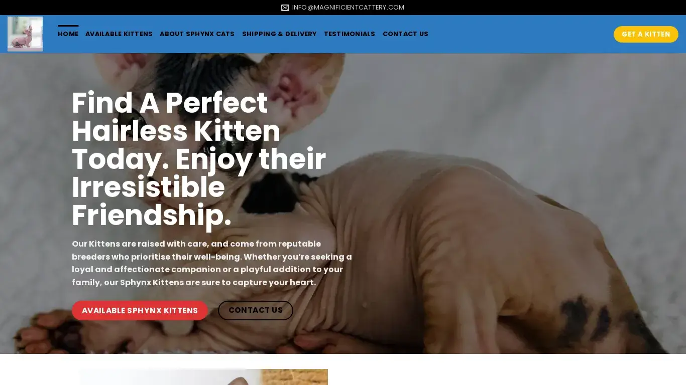 is The Magnificent Cattery – Sphynx Kittens For Sale legit? screenshot