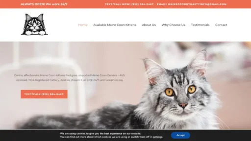 Scam Website Screenshot Mainecoondynasty.com