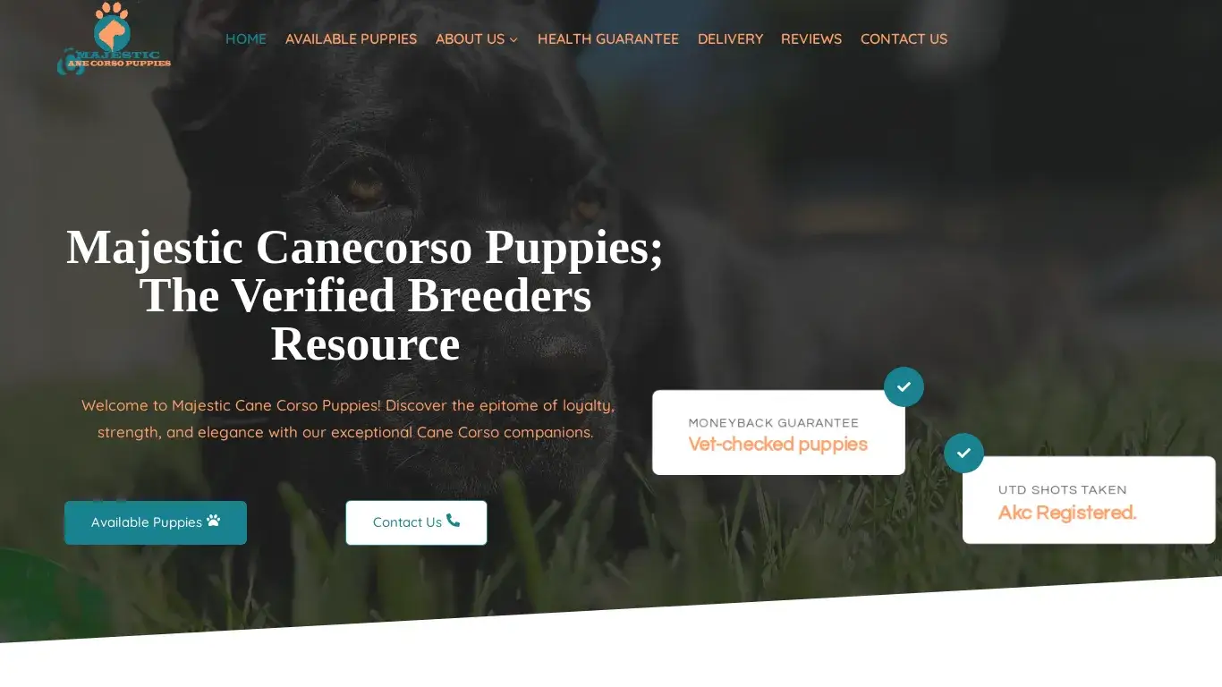 is Majestic Canecorso Puppies – The canecorso resource legit? screenshot