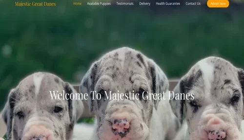 majesticgreatdanes-com-featured