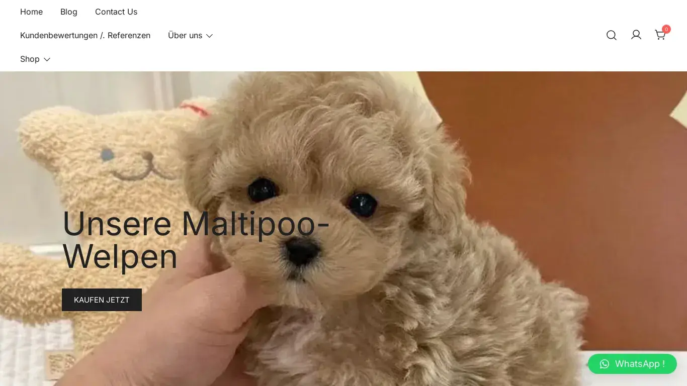 is Home - Maltipoo Welpen Kaufen legit? screenshot